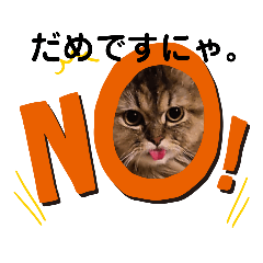 [LINEスタンプ] 猫ちゃんにゃん。