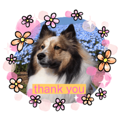 [LINEスタンプ] もふもふ♡Everyday stamp