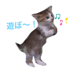 [LINEスタンプ] 我が家のリリー