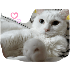 [LINEスタンプ] うちのりんタン