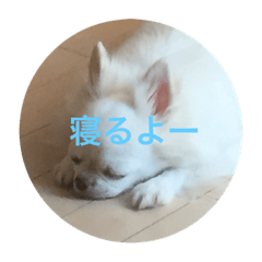 [LINEスタンプ] Chiro1015