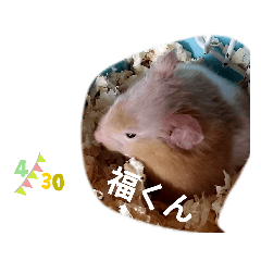 [LINEスタンプ] フクくんVer．1