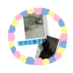 [LINEスタンプ] 我が家にいた猫の親子