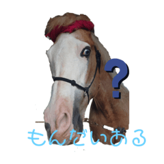 [LINEスタンプ] アイ＆パール面白くて、素敵な馬