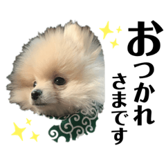 [LINEスタンプ] Yamamoto imoko 2