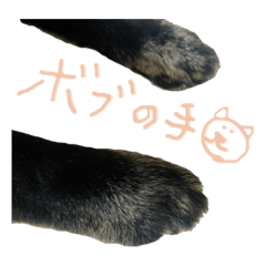 [LINEスタンプ] ぼしゃん