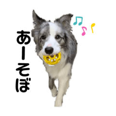 [LINEスタンプ] ベスティだよ