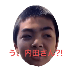 [LINEスタンプ] ぱぴぷぺぽだよーん