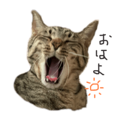 [LINEスタンプ] むちょとレオ②