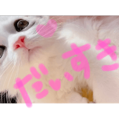 [LINEスタンプ] はなちゃん猫ちゃん