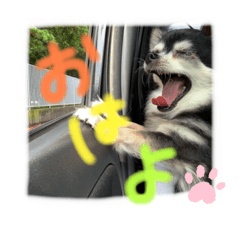 [LINEスタンプ] ミー様のスタンプ❤️