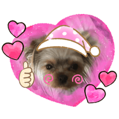 [LINEスタンプ] 可愛い❤️ワンちゃんの画像