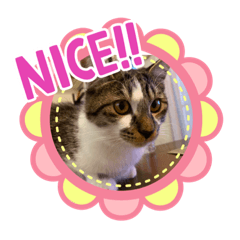 [LINEスタンプ] みぃとぅん2