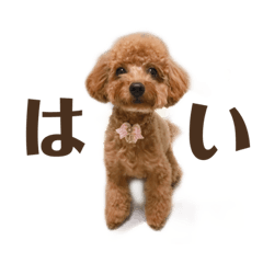 [LINEスタンプ] もふもふぅちゃん♡