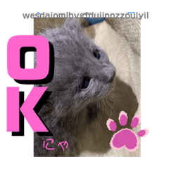 [LINEスタンプ] DONCHANの1日