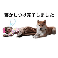 [LINEスタンプ] 名犬アキナと娘。