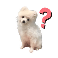 [LINEスタンプ] ちゃんぐみスタンプ