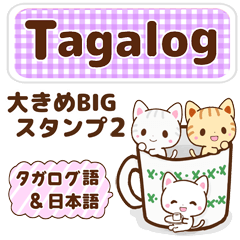 [LINEスタンプ] タガログ語と日本語で伝える！bigスタンプ2の画像（メイン）