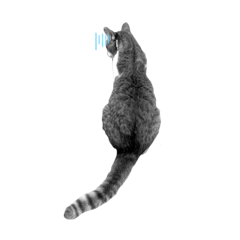 [LINEスタンプ] にこじろう 2
