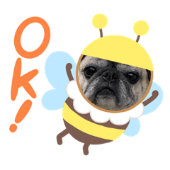 [LINEスタンプ] るいたんたんスタンプ