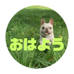 [LINEスタンプ] ブチコロスタンプ No.3