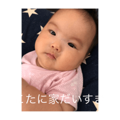 [LINEスタンプ] 小谷家専用スタンプ