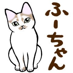 [LINEスタンプ] ねこすたんぷ。【ふーちゃん】