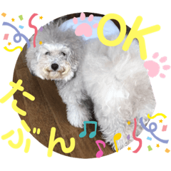 [LINEスタンプ] モフモフトイプー小梅3