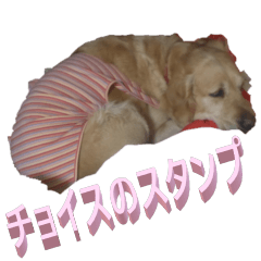 [LINEスタンプ] チョイス