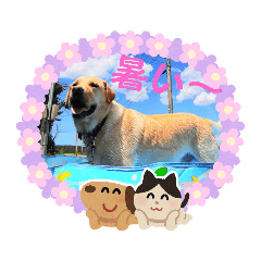 [LINEスタンプ] 夏のジュラ
