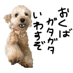 [LINEスタンプ] 時々イカつい犬スタンプ