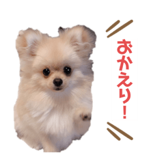 [LINEスタンプ] るるがきた。①