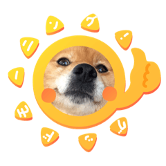 [LINEスタンプ] ももちゃんが大好きな飼い主さん