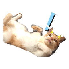 [LINEスタンプ] サンカクファンクラブ