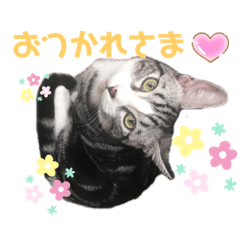 [LINEスタンプ] たけたまスタンプ2