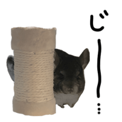 [LINEスタンプ] ここあんどぽんた