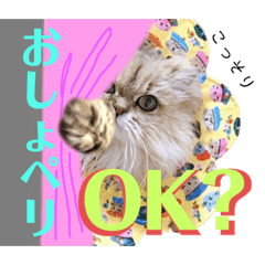 [LINEスタンプ] 猫達の日々の研究所用スタンプ