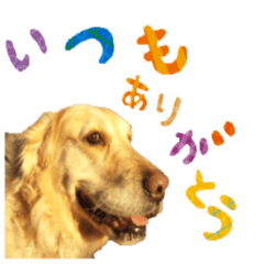 [LINEスタンプ] チョイスの日常3