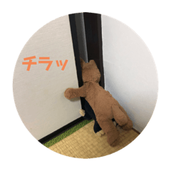 [LINEスタンプ] ブッタと田中のスタンプ①