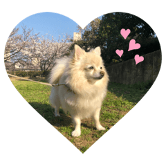 [LINEスタンプ] Raraちゃん