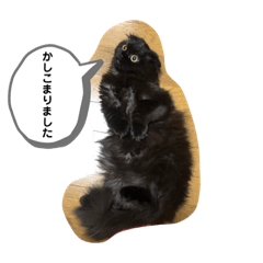 [LINEスタンプ] わたちはティッシュ2