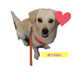 [LINEスタンプ] ポンタンるいたん