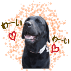 [LINEスタンプ] ハナとエルサの毎日