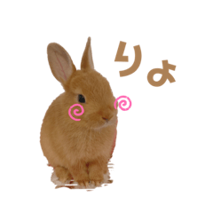 [LINEスタンプ] うさぎのうにさん(いろんなver.)