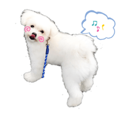 [LINEスタンプ] ココくんの毎日Part2