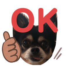 [LINEスタンプ] チワワだけのチワワ