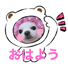 [LINEスタンプ] 我が家のキュートくんと