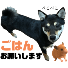 [LINEスタンプ] Himenoすたんぷ2