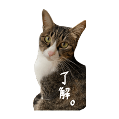 [LINEスタンプ] くぅちゃと、まりー