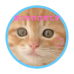 totomuta